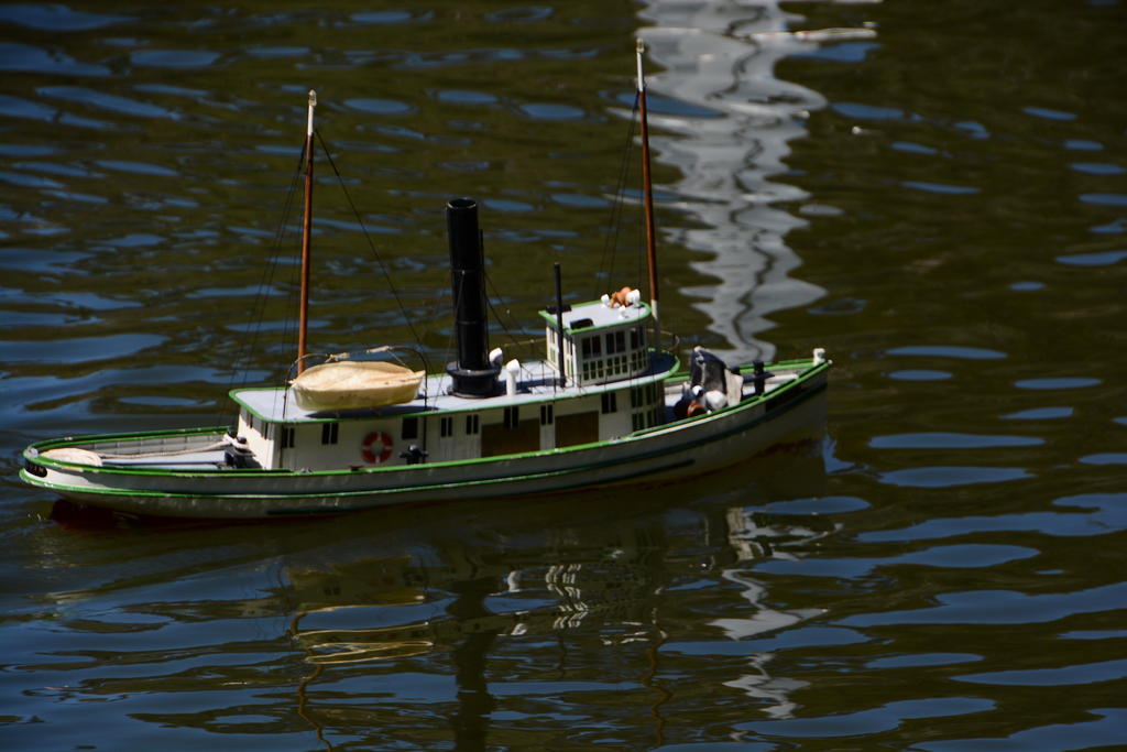 DSC_4794.jpg