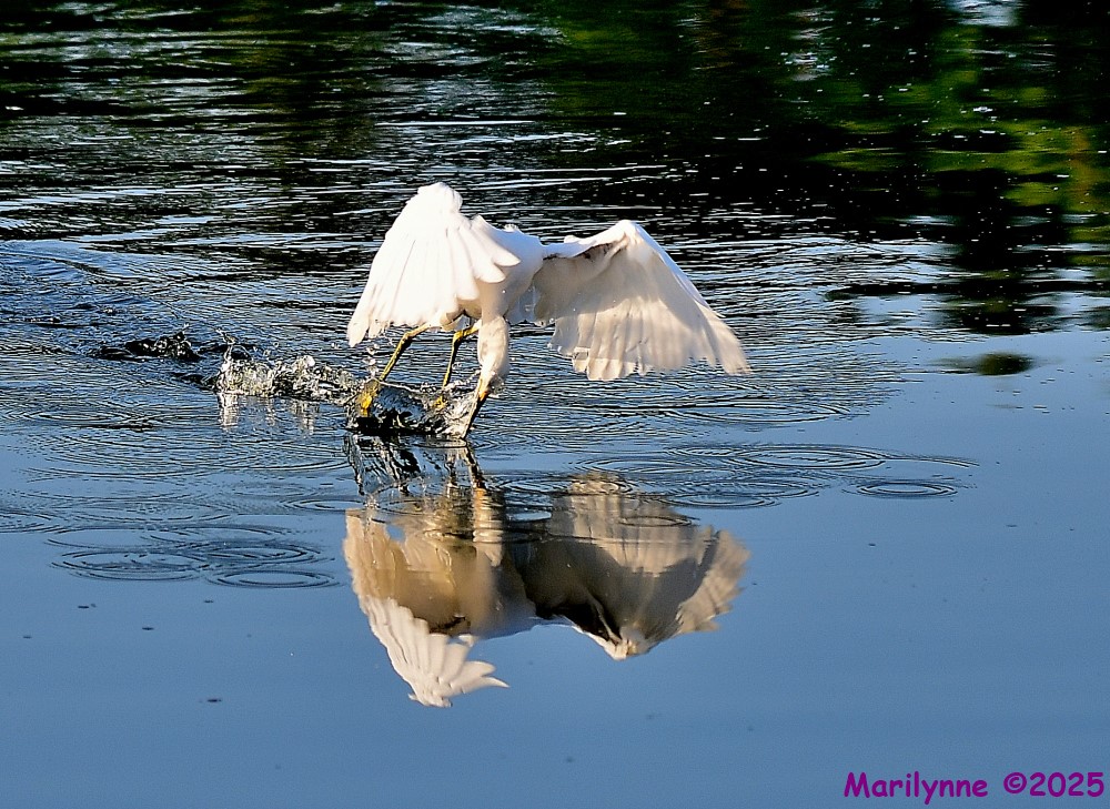 DSC_4795_001.JPG