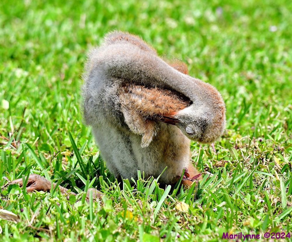 DSC_4802_stitch14_001.JPG