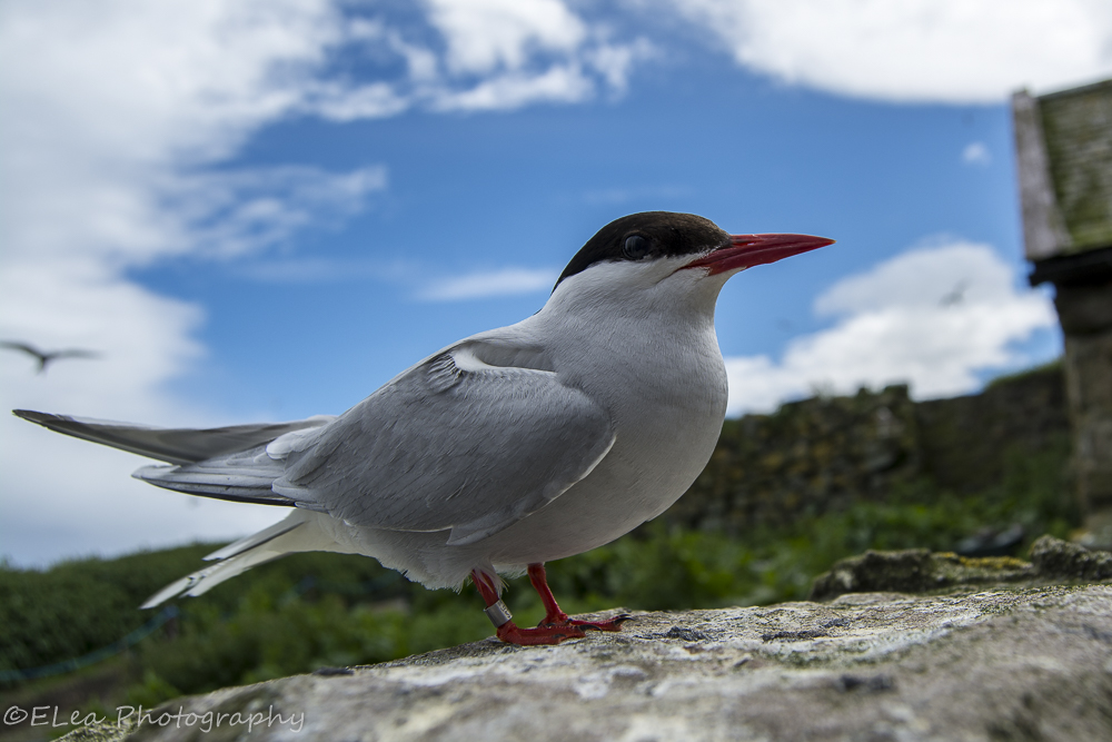 DSC_4803.jpg