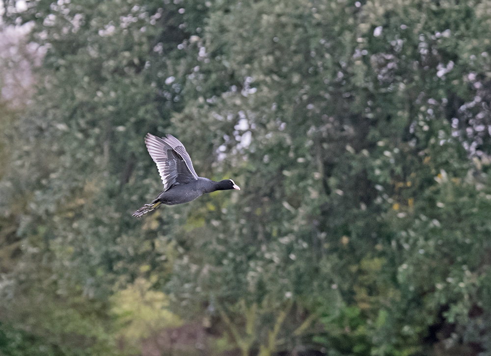 DSC_4805.jpg
