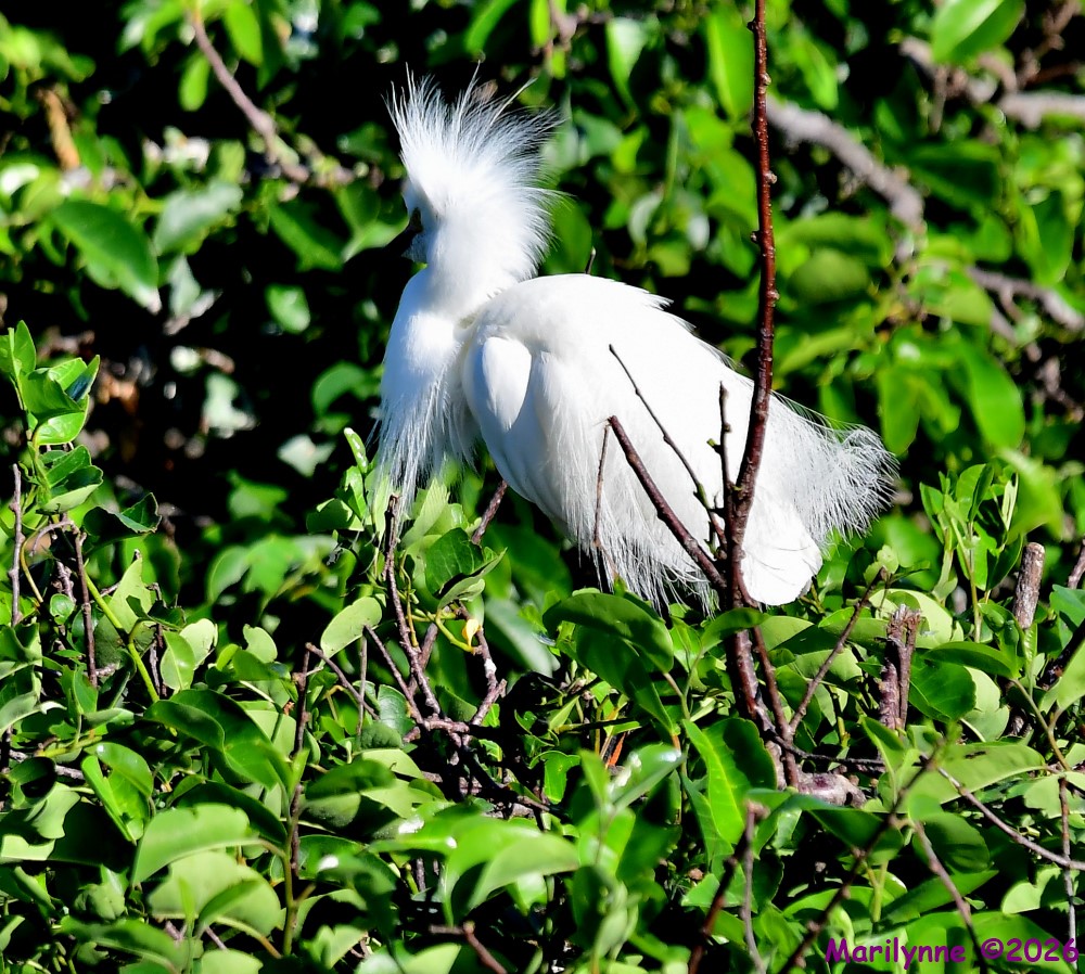 DSC_4805_001.JPG