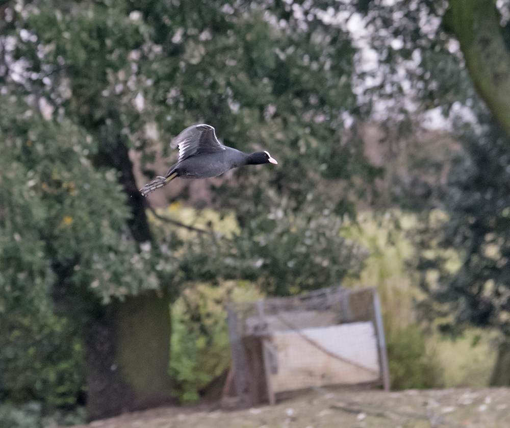 DSC_4806.jpg