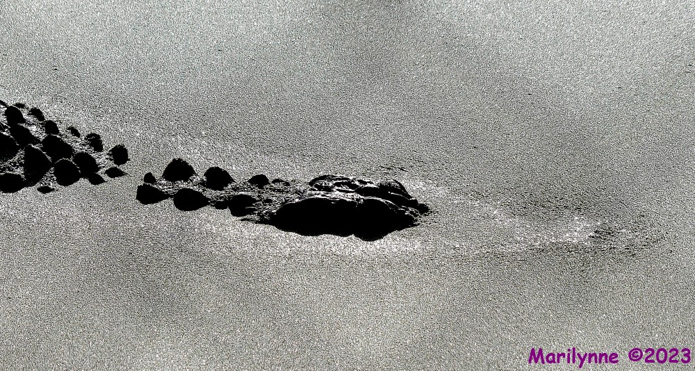 DSC_4807_001.JPG