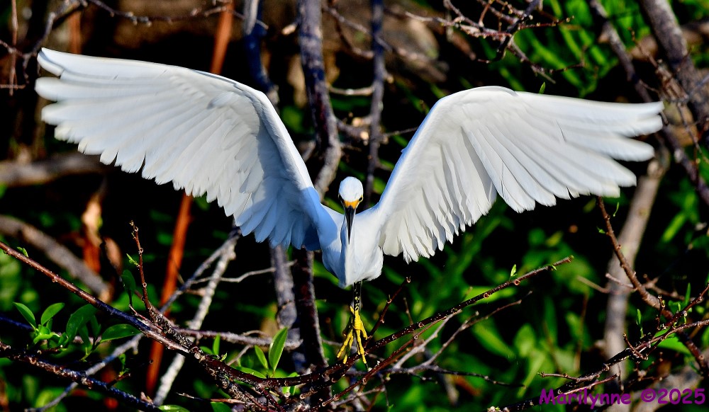 DSC_4818_001.JPG