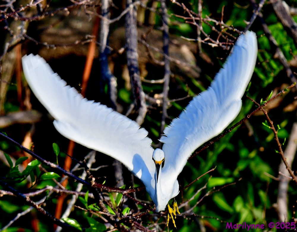 DSC_4819_001.JPG