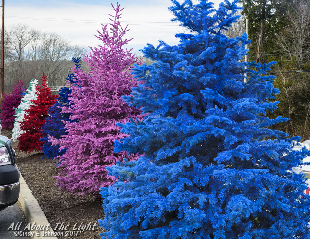 DSC_4821 low res.jpg