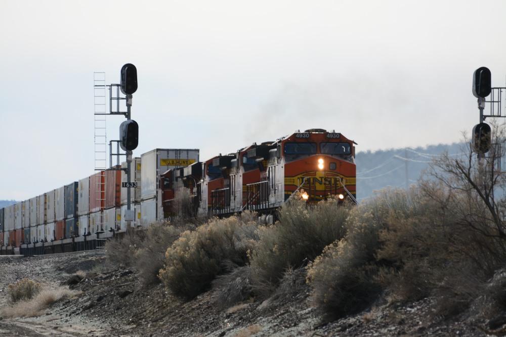 DSC_4823.JPG