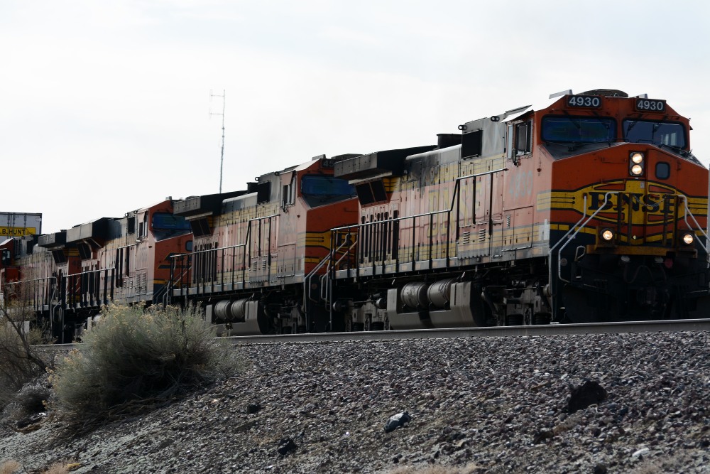 DSC_4827.JPG