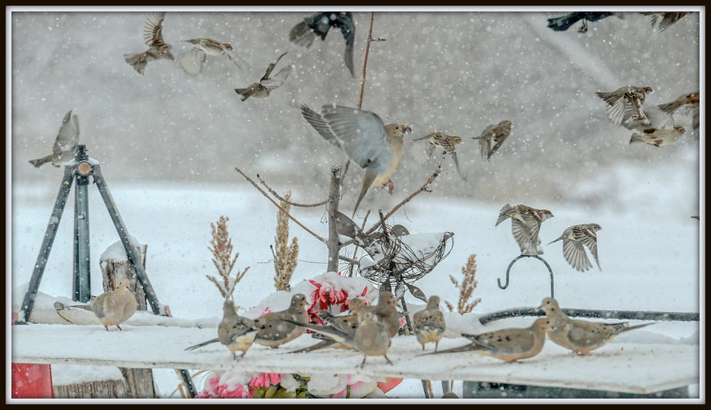 DSC_4829-Edit.jpg