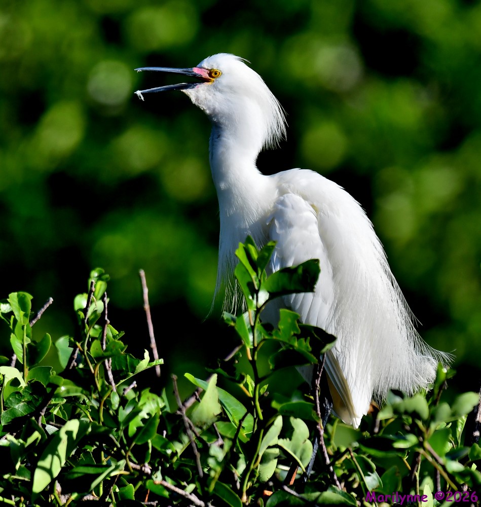 DSC_4830_001.JPG