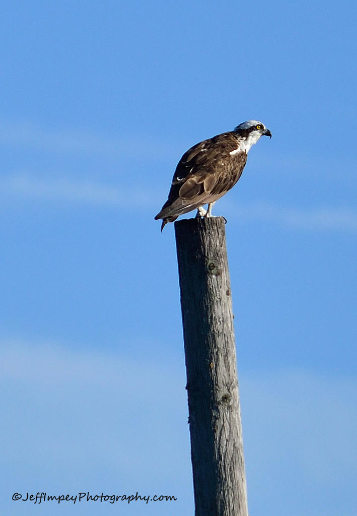 DSC_4831.jpg