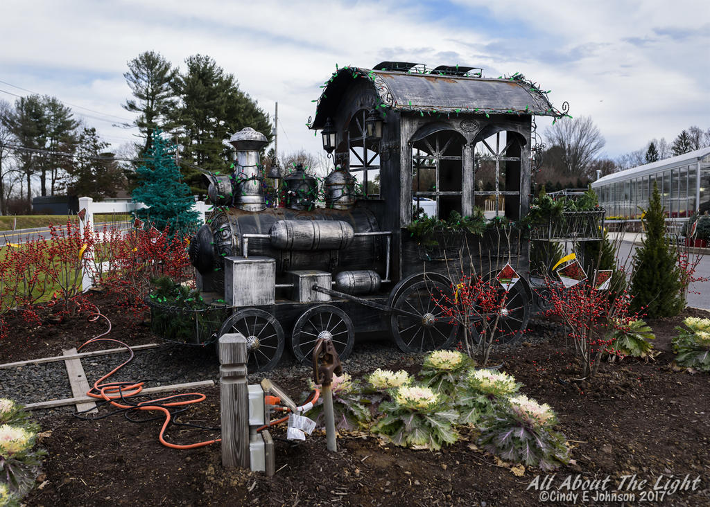 DSC_4833 low res.jpg