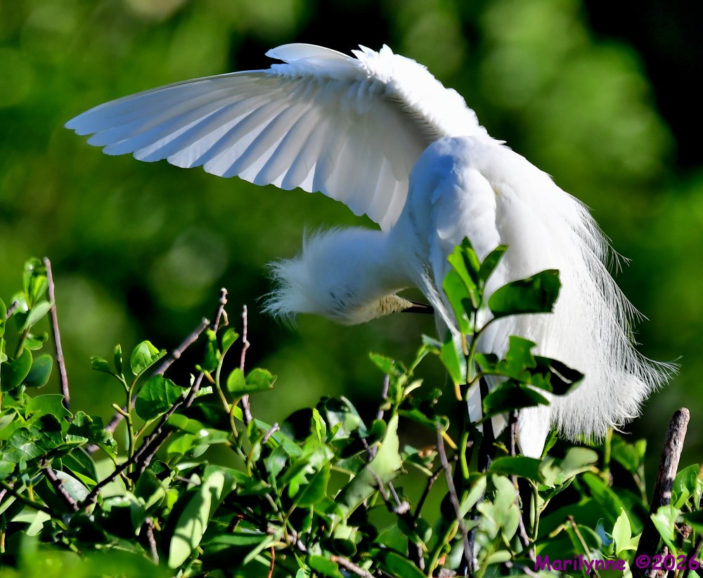 DSC_4833_001.JPG