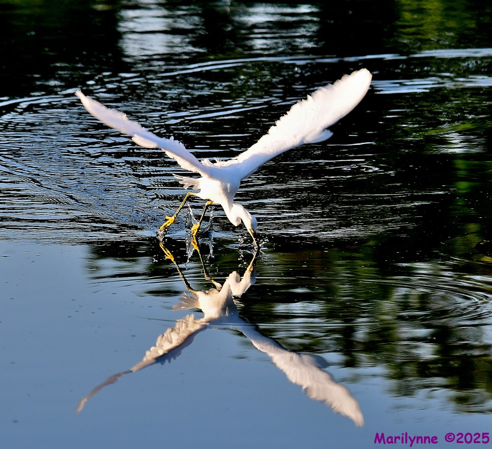 DSC_4836_001.JPG
