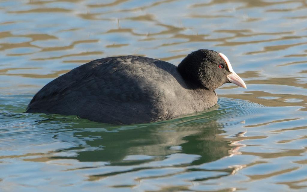 DSC_4840.jpg