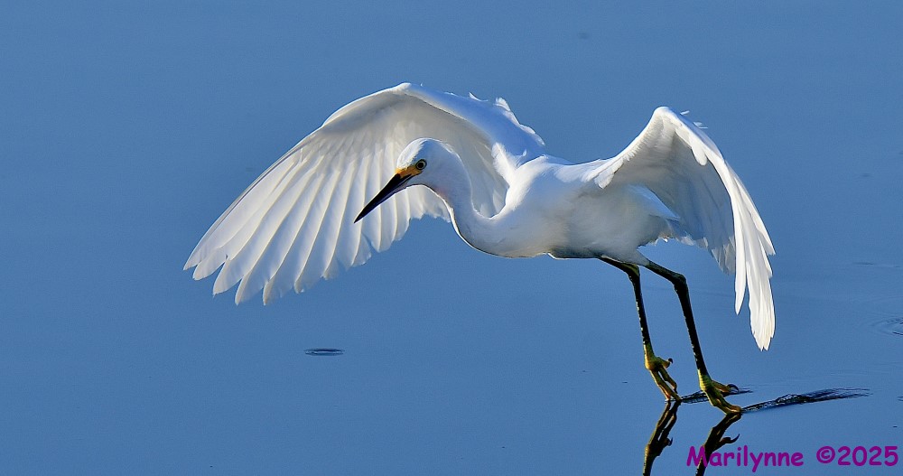 DSC_4840_001.JPG