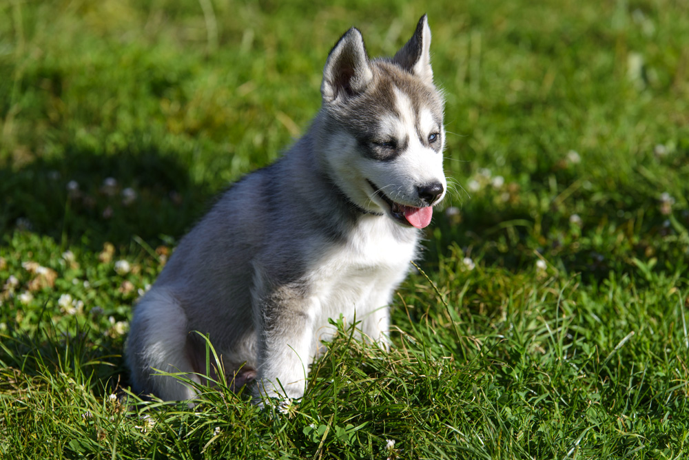 DSC_4843.jpg