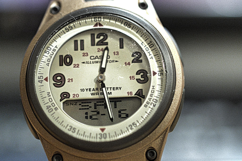 DSC_4846-1.jpg