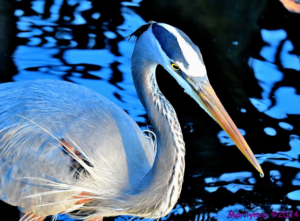 DSC_4846_001.JPG