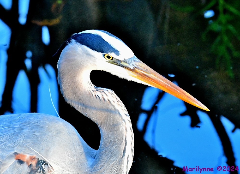 DSC_4850_001.JPG
