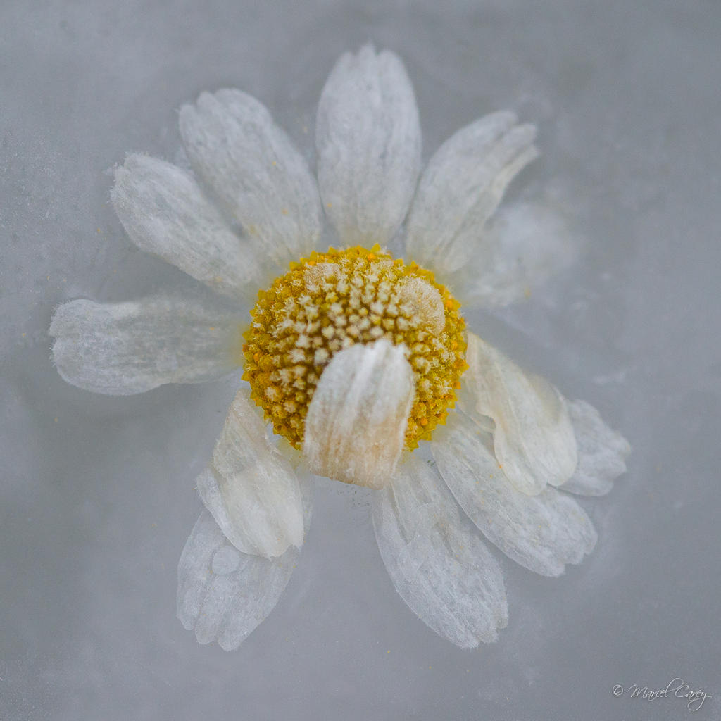 DSC_4856.jpg