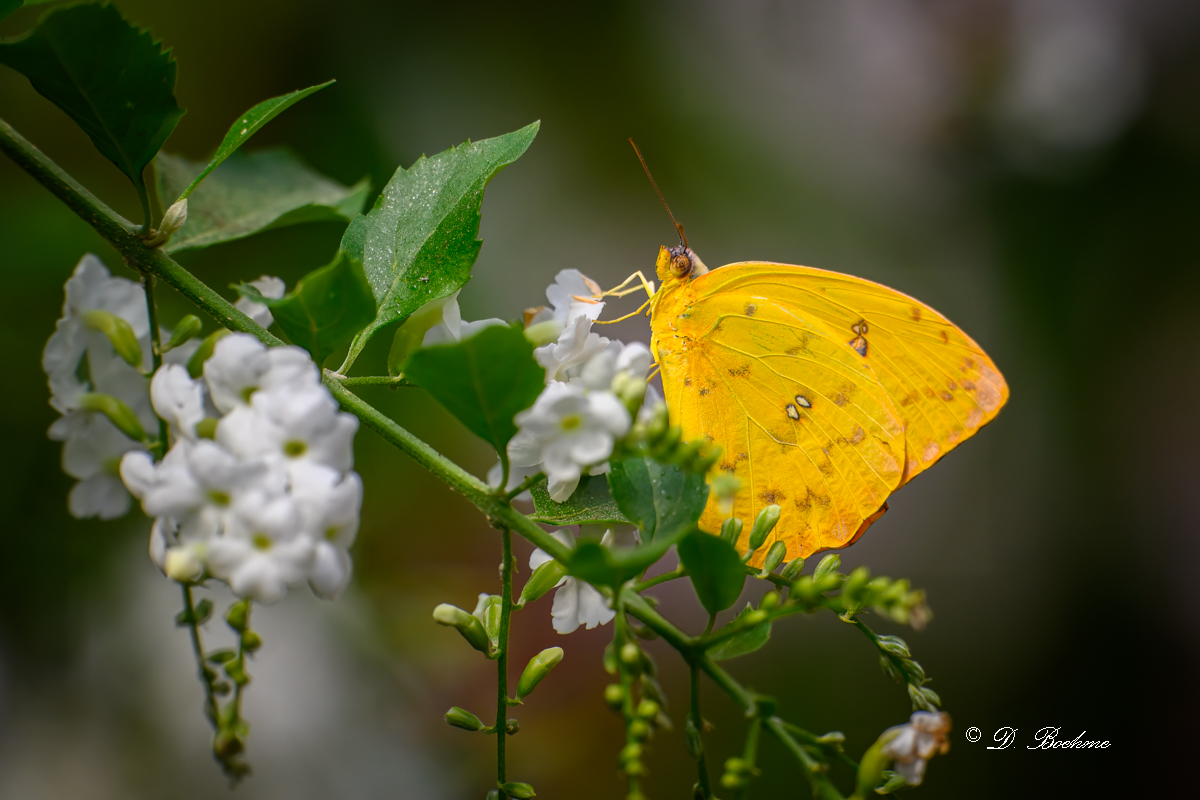 DSC_4858-topaz-rawdenoise.jpg