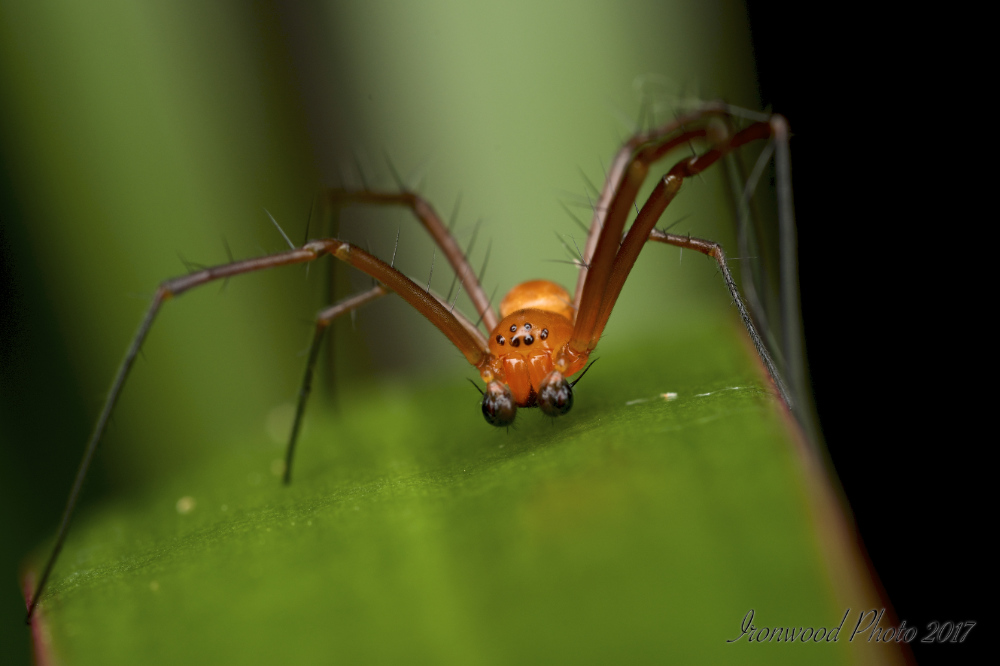 DSC_4862.jpg