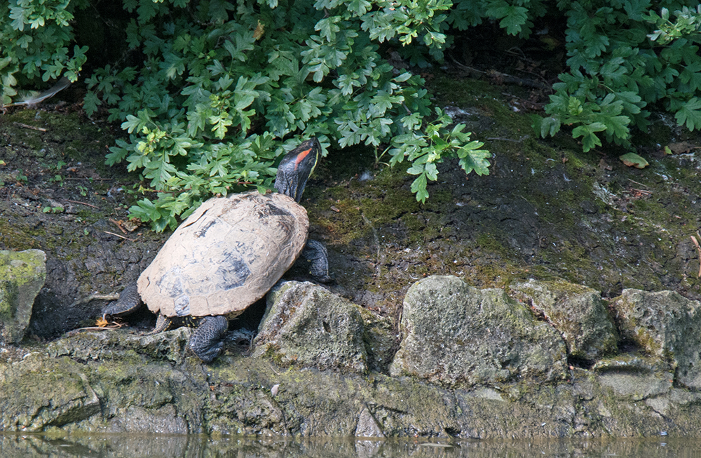 DSC_4862.jpg