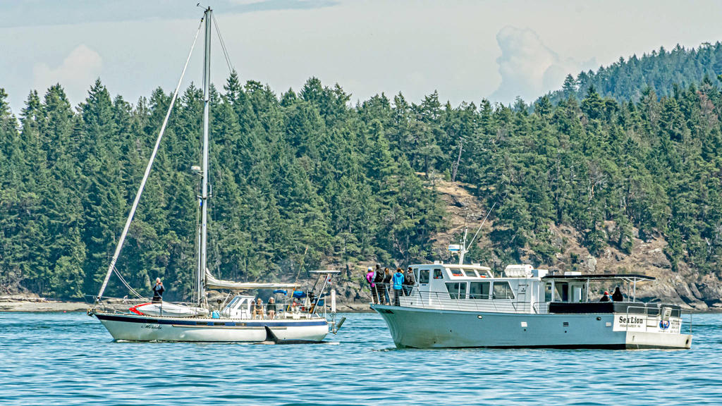 DSC_4869-Edit.jpg