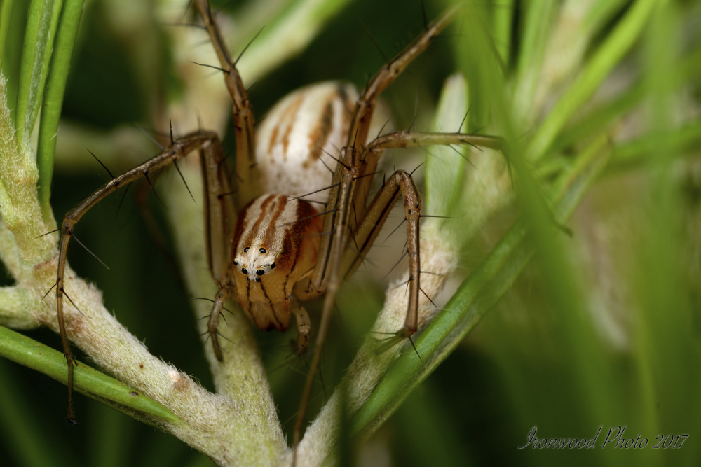 DSC_4874.jpg