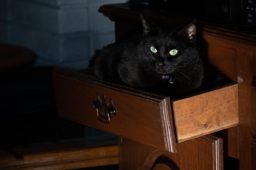 DSC_4876.jpg