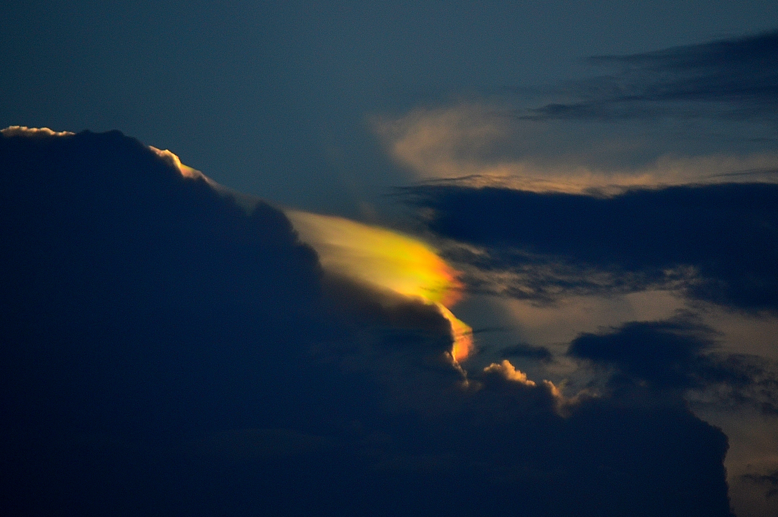 DSC_4878_01.JPG