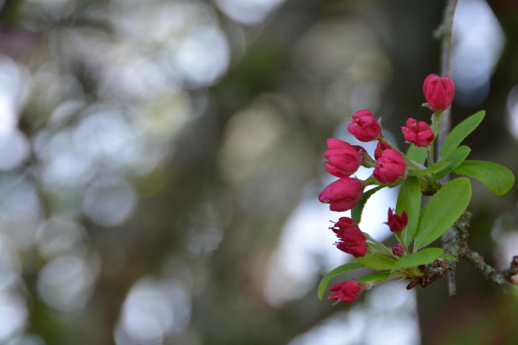 DSC_4882.jpg