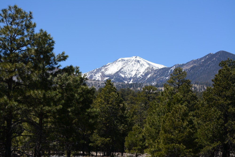 DSC_4886.JPG