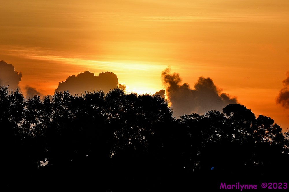DSC_4887_001.JPG