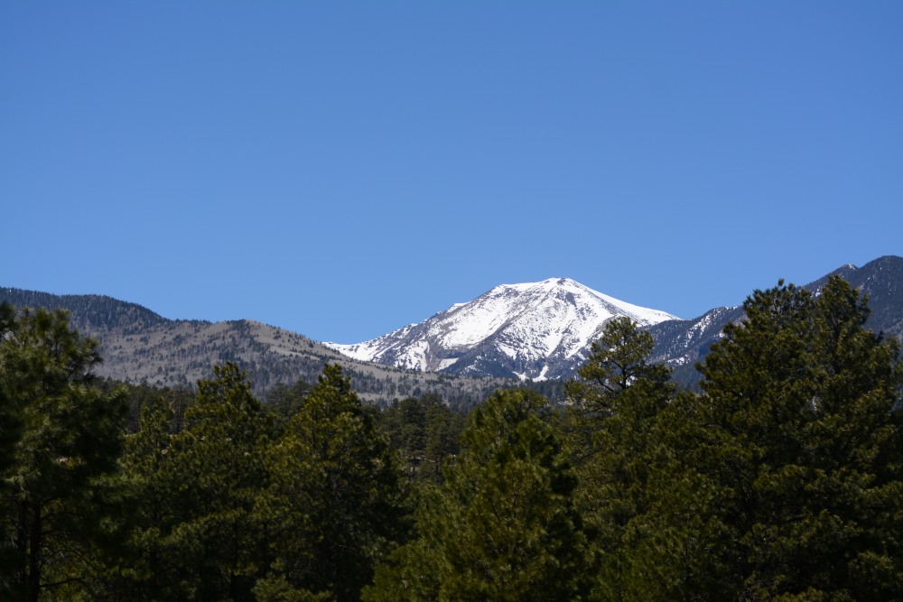 DSC_4888.JPG