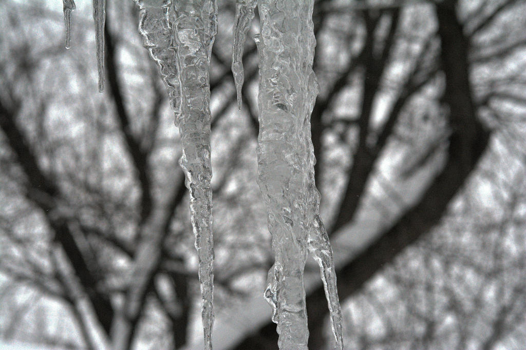 DSC_4891-1.jpg