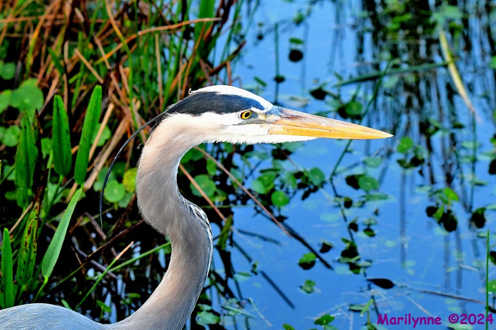 DSC_4891_001.JPG