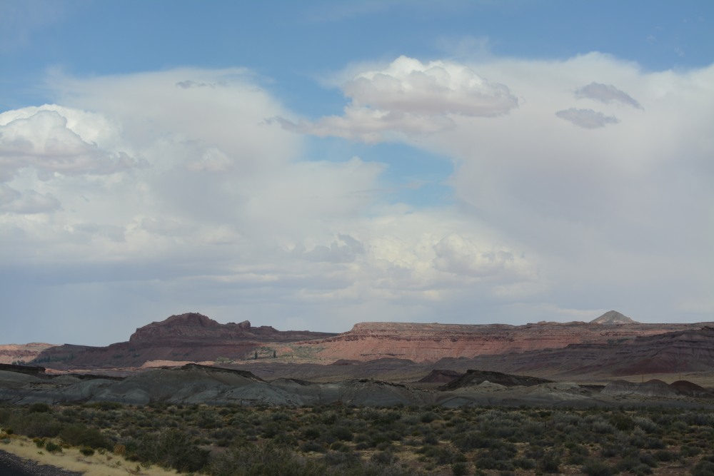 DSC_4893.JPG