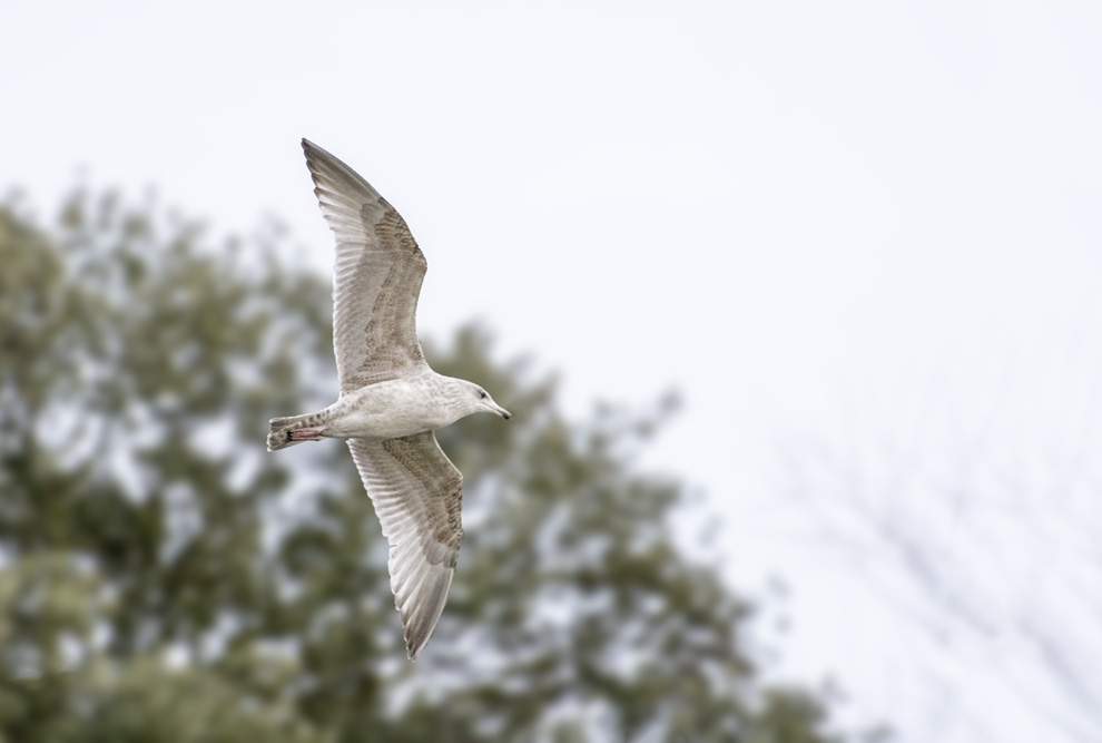 DSC_4894.jpg