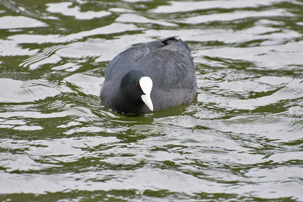 DSC_4898.jpg
