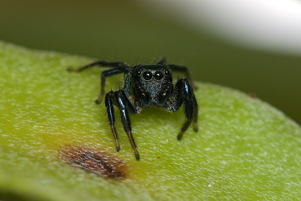 DSC_4900.jpg