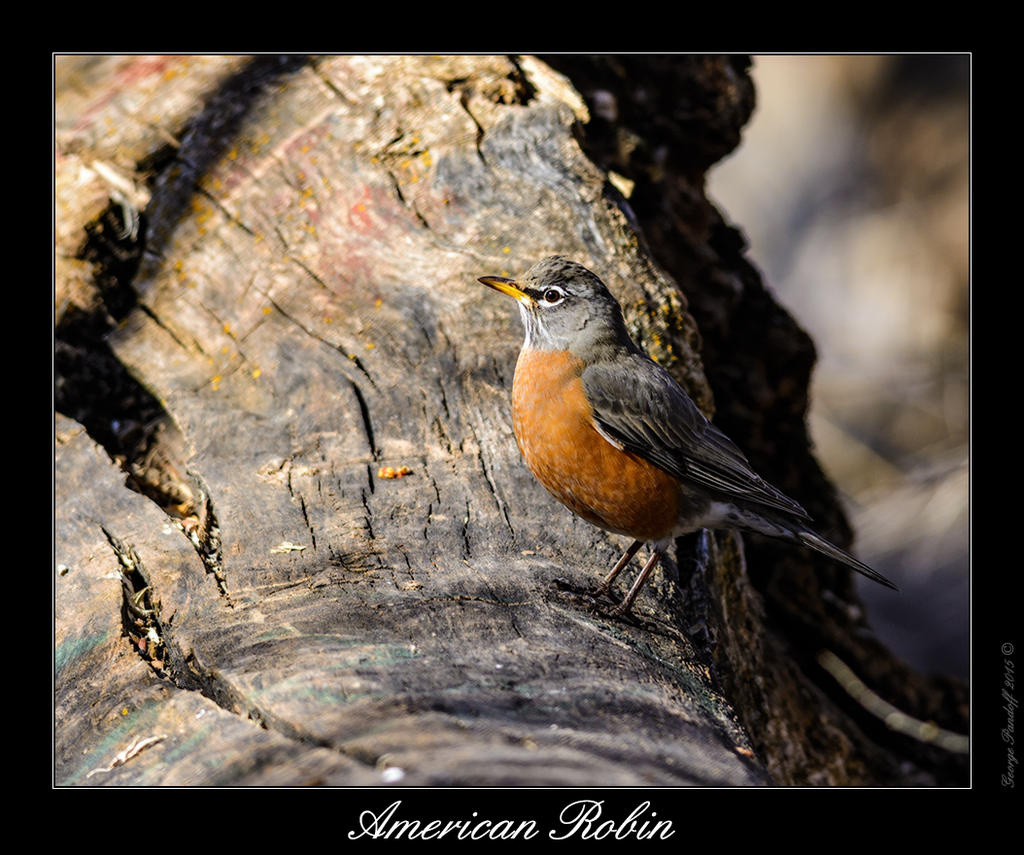 DSC_4900_Web.jpg
