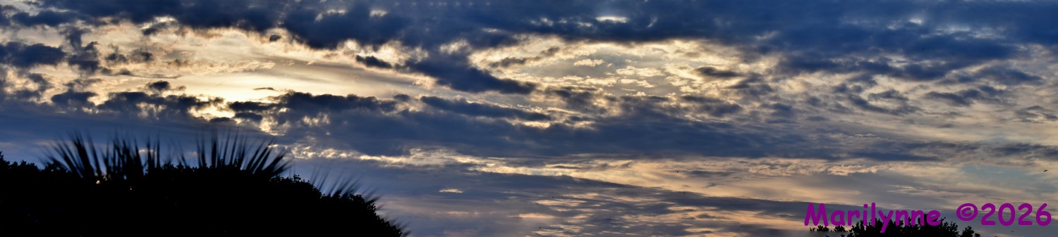 DSC_4901_stitch8_001.JPG
