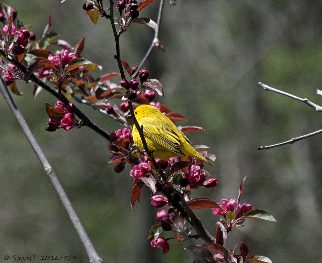 DSC_4902.jpg