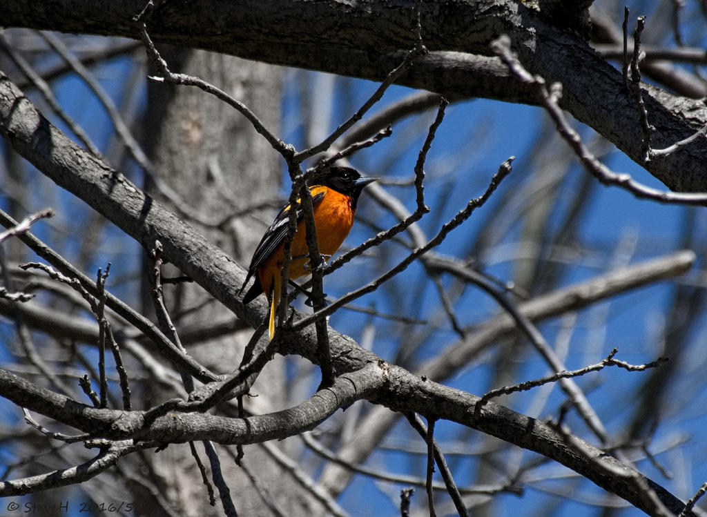 DSC_4912.jpg