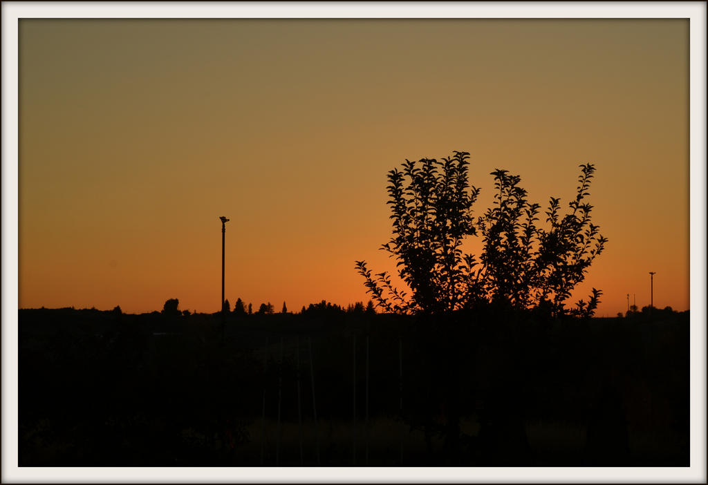 DSC_4912.jpg