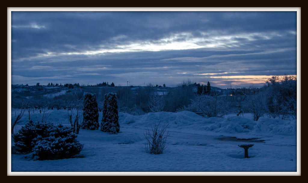 DSC_4920.jpg