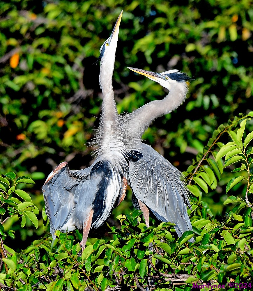 DSC_4920_001.JPG